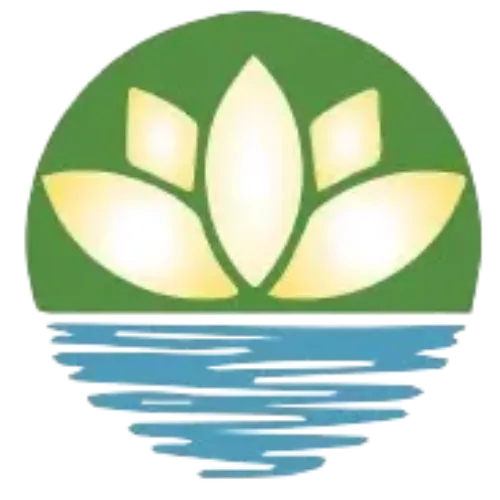 body restoration and wellness green icon